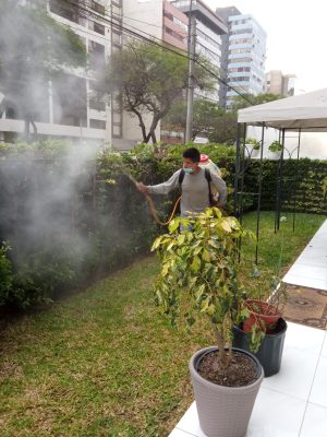 Fumigacion de jardines