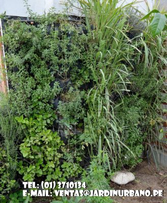 Innovación de jardin vertical con plantas aromaticas