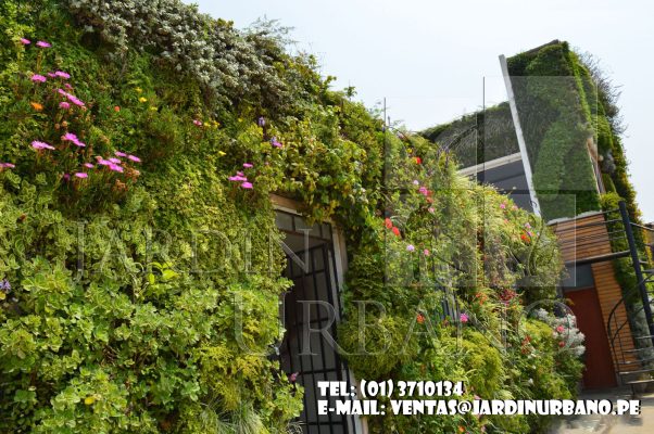Consejos para mantener un jardín vertical - Paisajismo Urbano